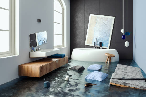 Best Mold removal after water damage  in Stlman Valley, IL