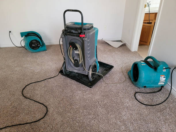 Best Water damage restoration process  in Stlman Valley, IL