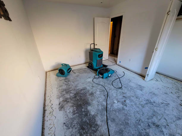 Best Water damage restoration near me  in Stlman Valley, IL