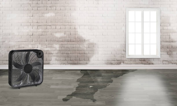  Stlman Valley, IL Water damage restoration Pros