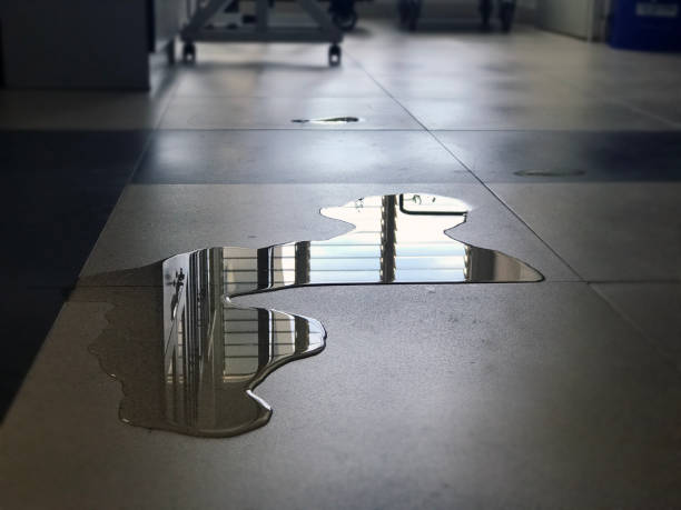Best Professional water damage repair  in Stlman Valley, IL