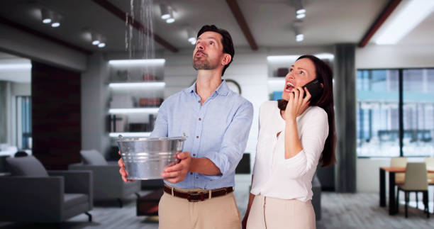 Best Commercial water damage restoration  in Stlman Valley, IL